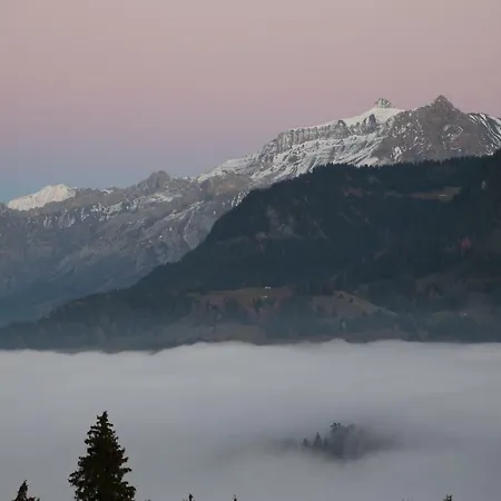 & Studio Sport Leysin